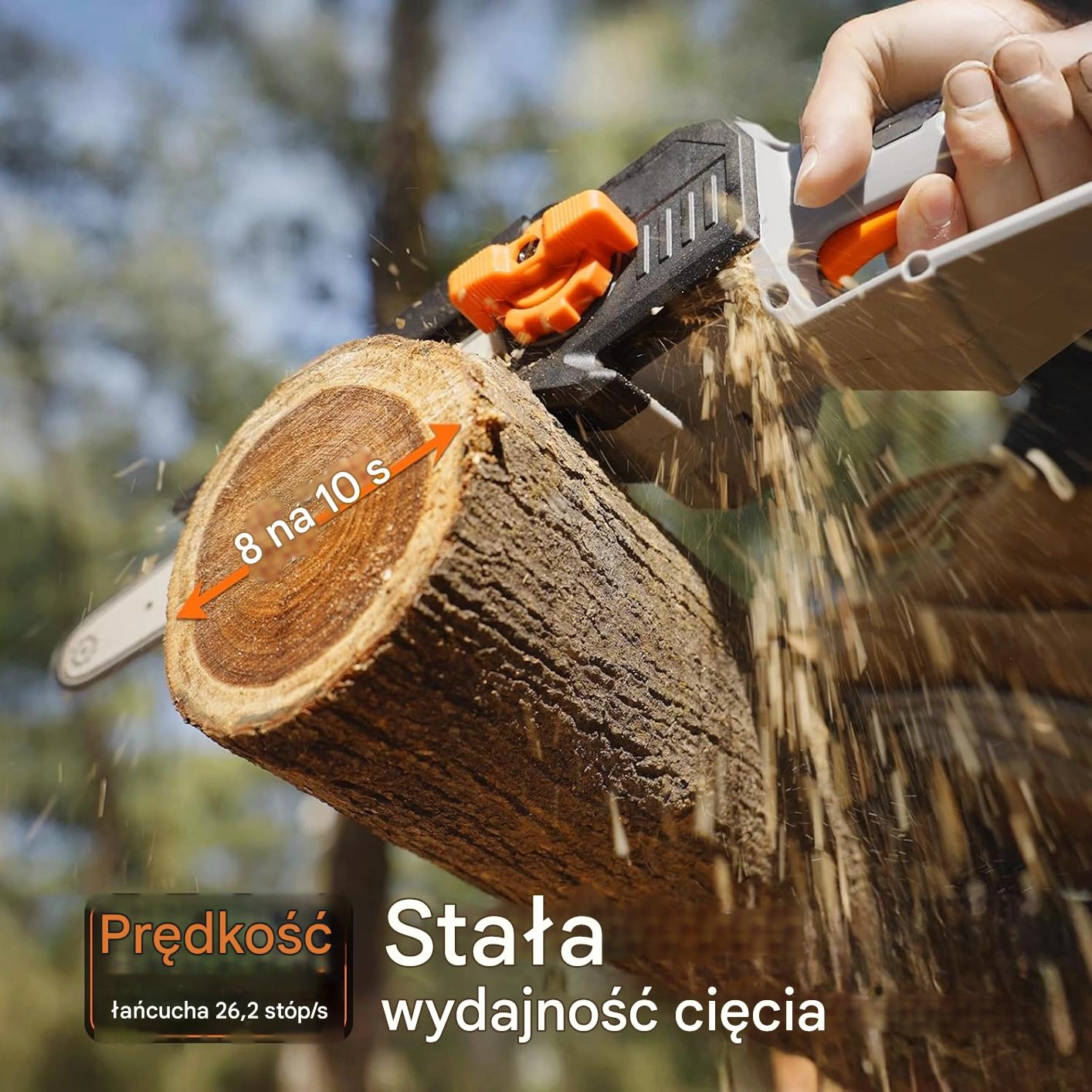 Drewno i majsterkowanie